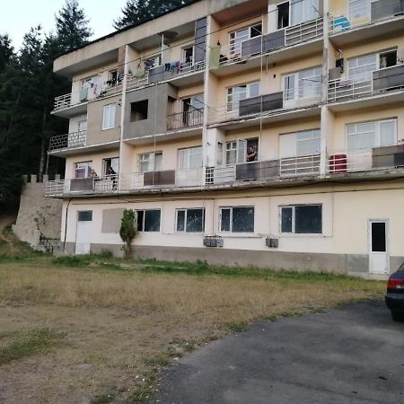 Alena'S Flat Διαμέρισμα Borjomi Εξωτερικό φωτογραφία