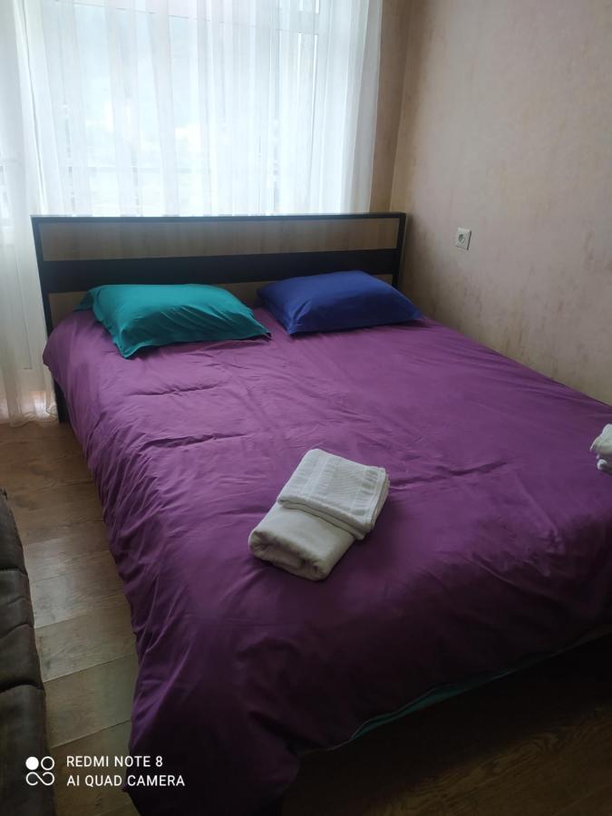 Alena'S Flat Διαμέρισμα Borjomi Εξωτερικό φωτογραφία