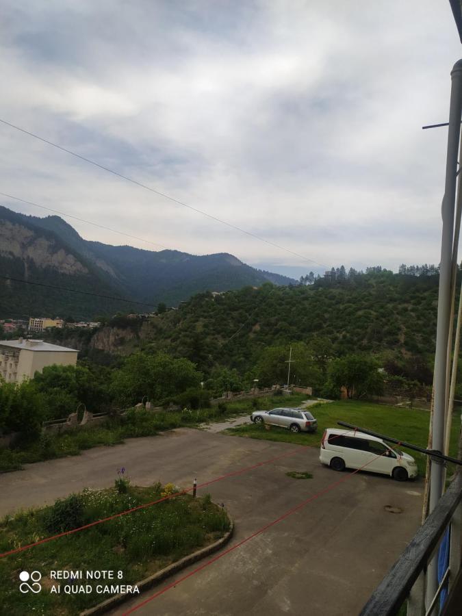 Alena'S Flat Διαμέρισμα Borjomi Εξωτερικό φωτογραφία