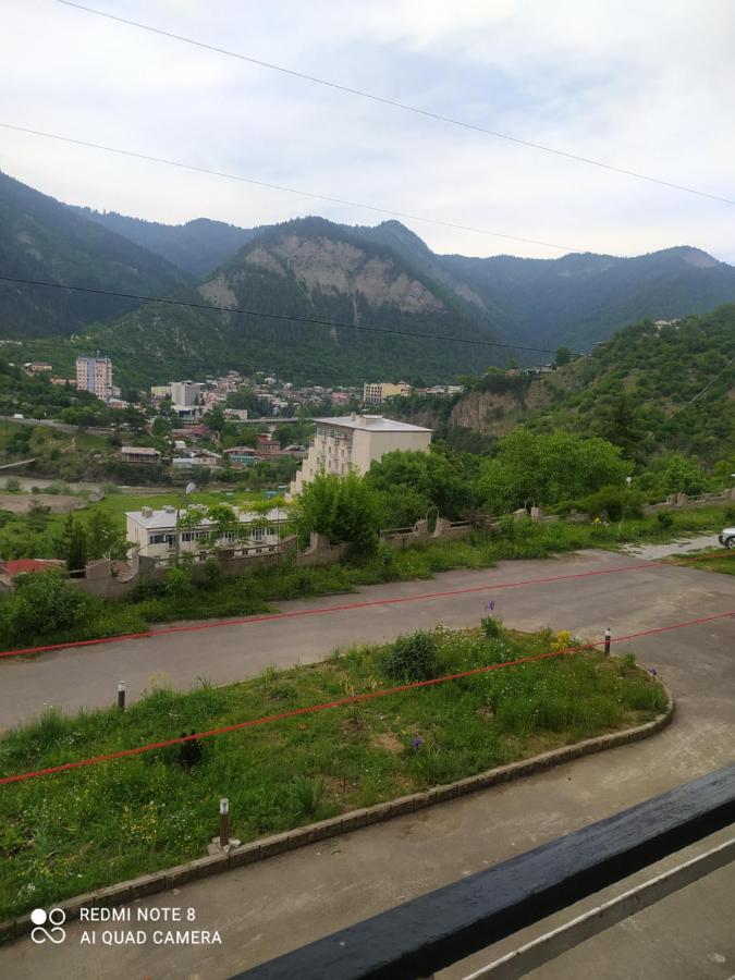 Alena'S Flat Διαμέρισμα Borjomi Εξωτερικό φωτογραφία