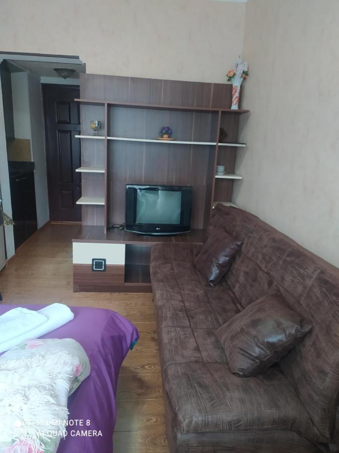 Alena'S Flat Διαμέρισμα Borjomi Εξωτερικό φωτογραφία