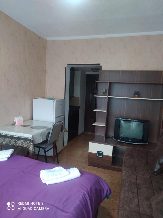 Alena'S Flat Διαμέρισμα Borjomi Εξωτερικό φωτογραφία