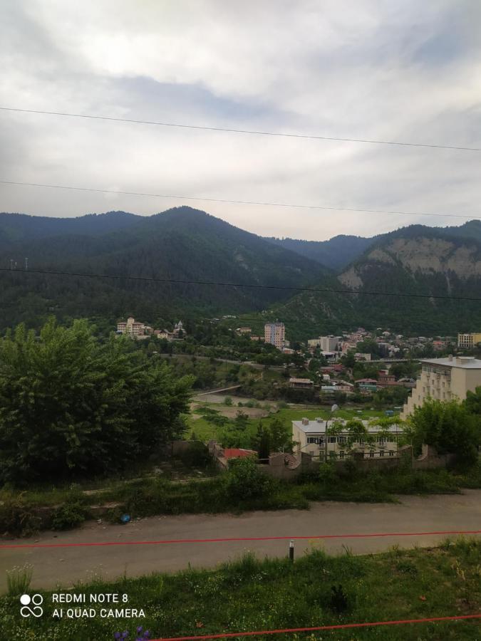 Alena'S Flat Διαμέρισμα Borjomi Εξωτερικό φωτογραφία