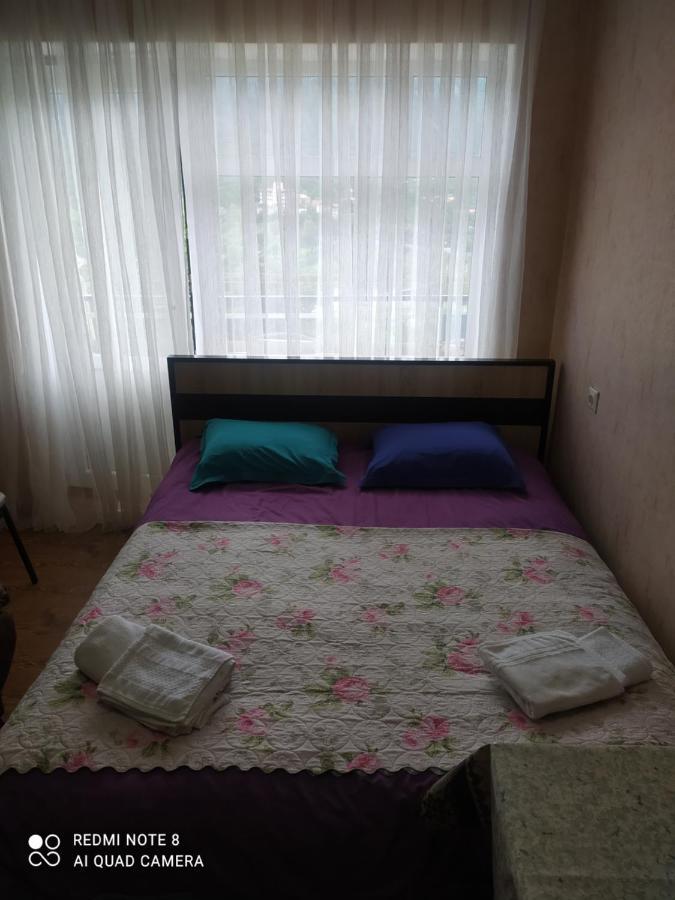 Alena'S Flat Διαμέρισμα Borjomi Εξωτερικό φωτογραφία