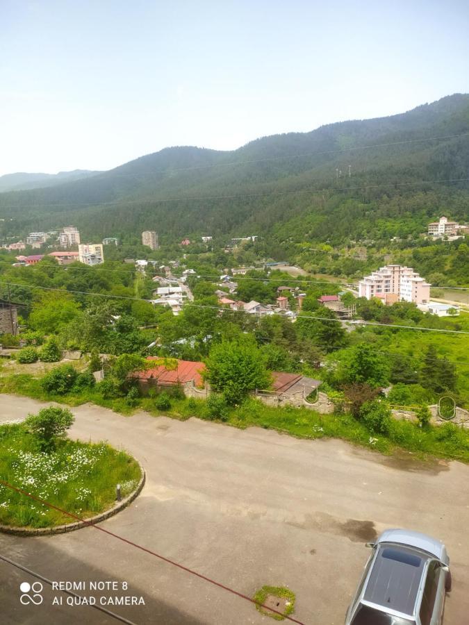 Alena'S Flat Διαμέρισμα Borjomi Εξωτερικό φωτογραφία