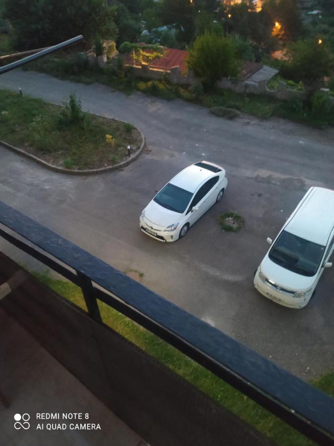Alena'S Flat Διαμέρισμα Borjomi Εξωτερικό φωτογραφία