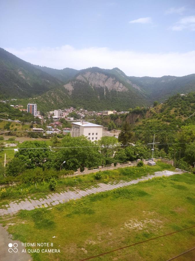 Alena'S Flat Διαμέρισμα Borjomi Εξωτερικό φωτογραφία
