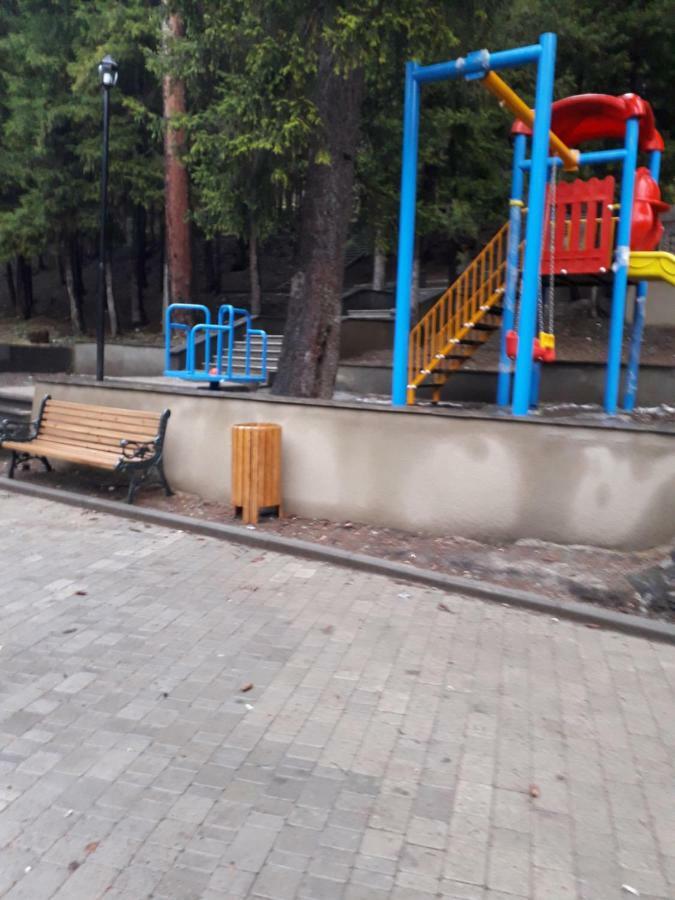 Alena'S Flat Διαμέρισμα Borjomi Εξωτερικό φωτογραφία