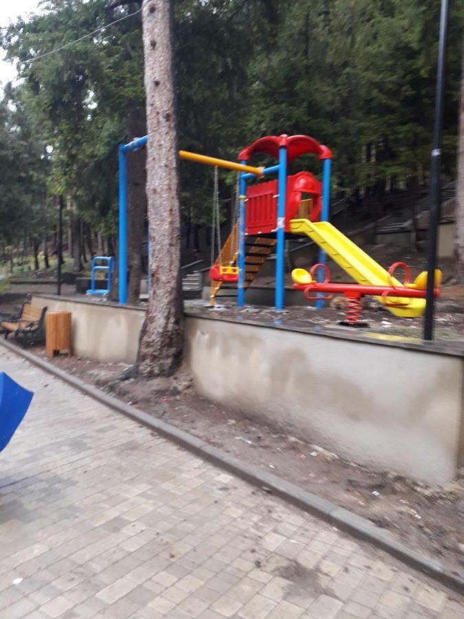 Alena'S Flat Διαμέρισμα Borjomi Εξωτερικό φωτογραφία