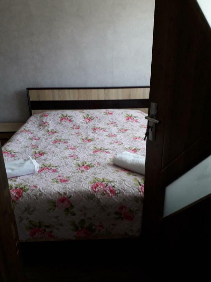 Alena'S Flat Διαμέρισμα Borjomi Εξωτερικό φωτογραφία