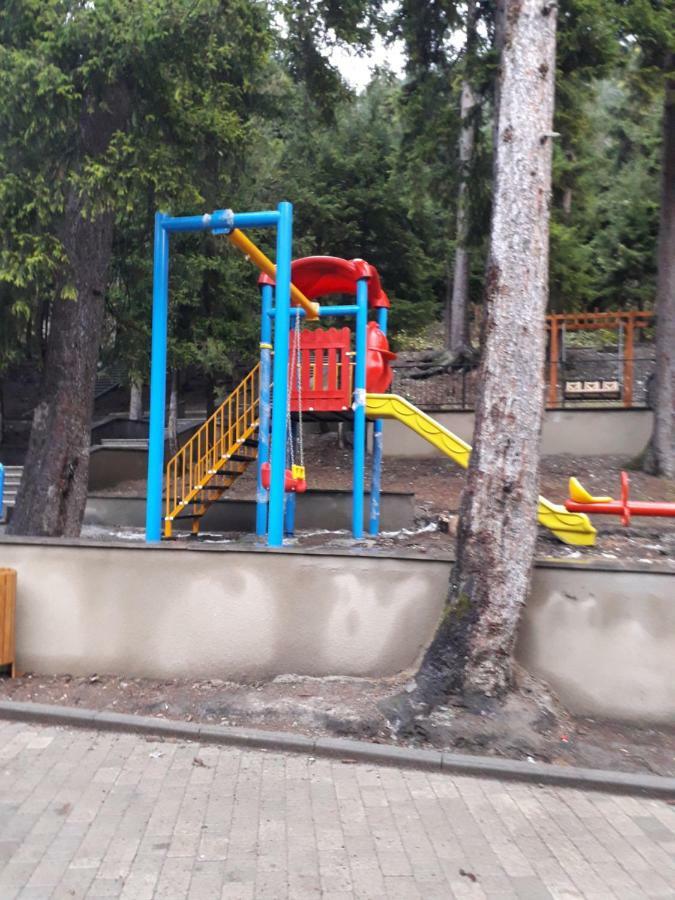Alena'S Flat Διαμέρισμα Borjomi Εξωτερικό φωτογραφία