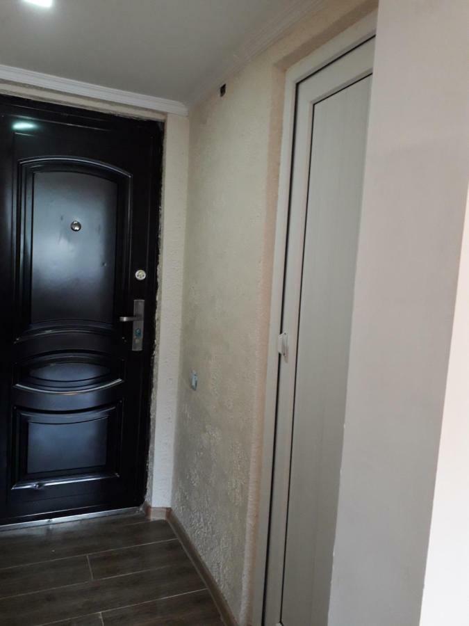 Alena'S Flat Διαμέρισμα Borjomi Εξωτερικό φωτογραφία