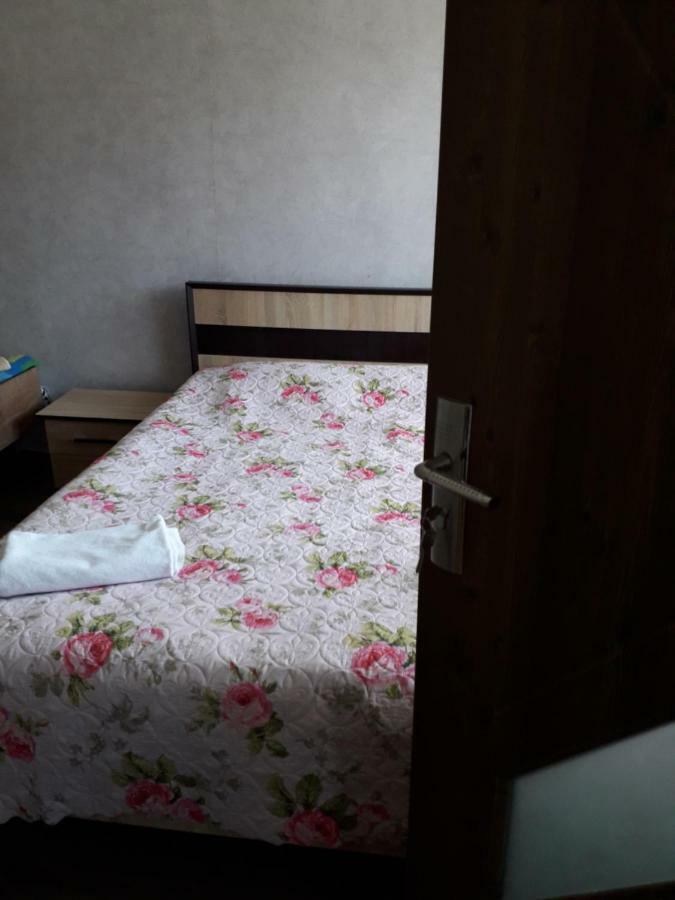 Alena'S Flat Διαμέρισμα Borjomi Εξωτερικό φωτογραφία