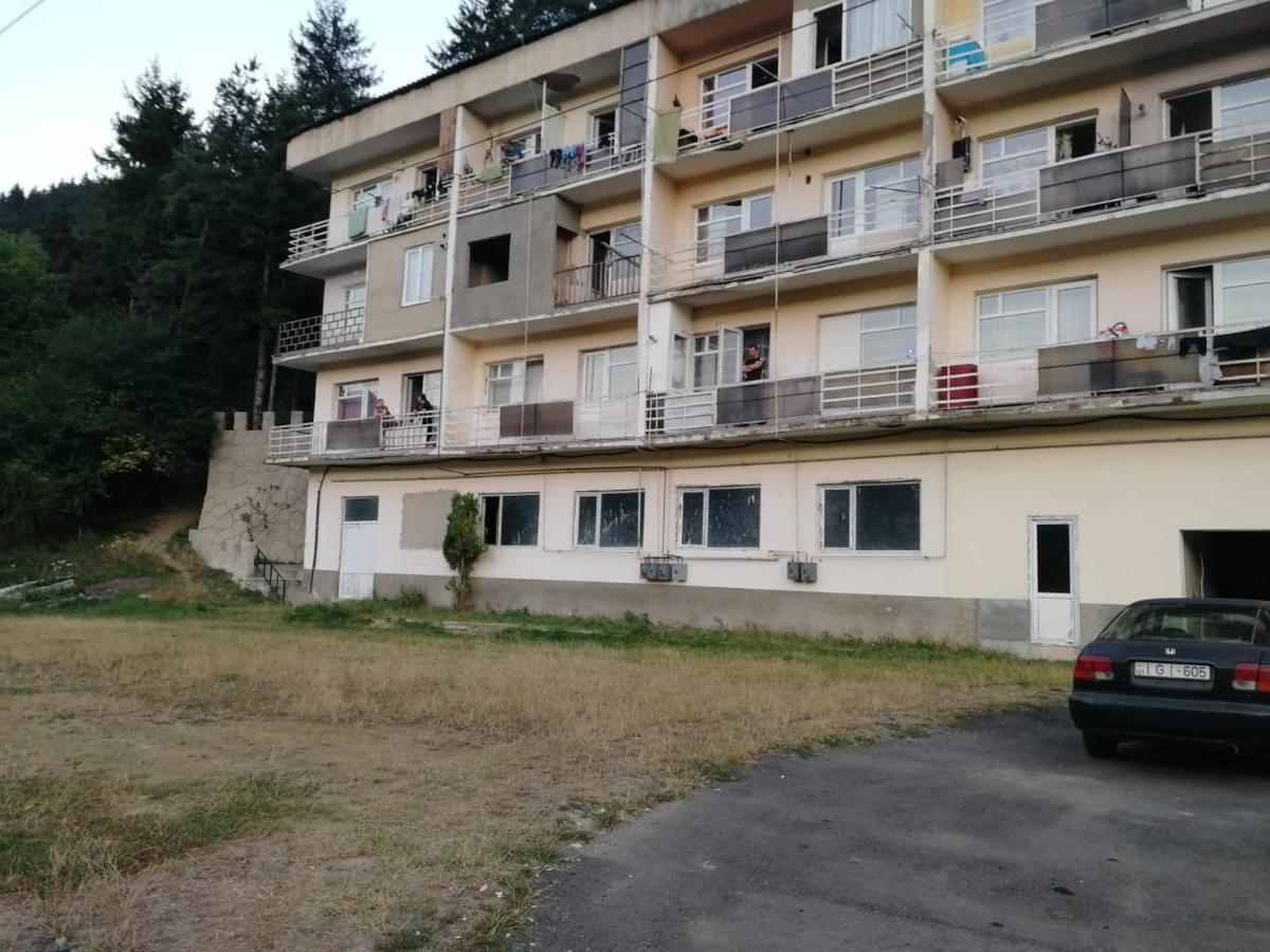 Alena'S Flat Διαμέρισμα Borjomi Εξωτερικό φωτογραφία