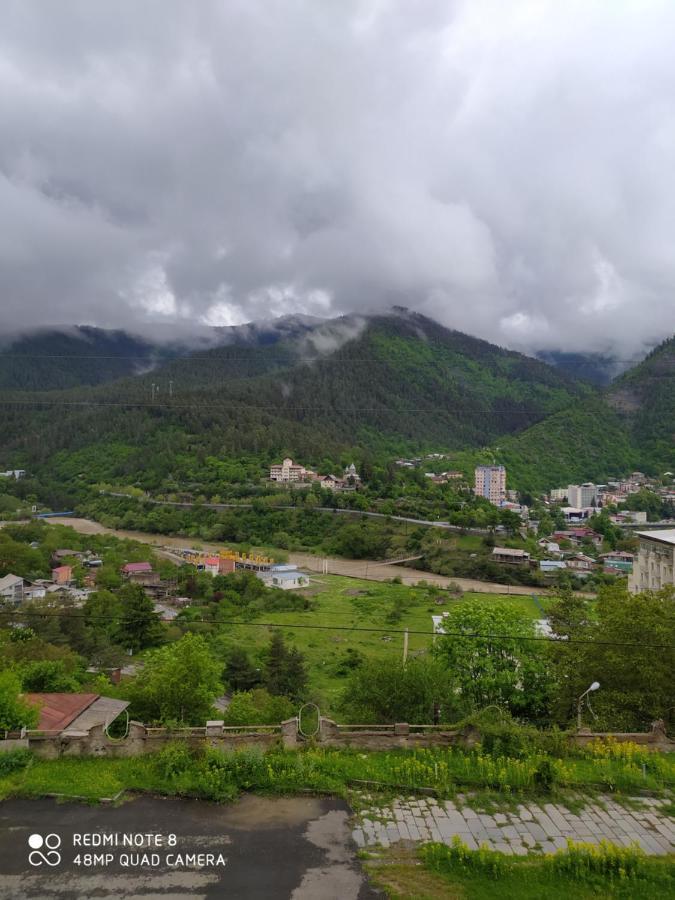 Alena'S Flat Διαμέρισμα Borjomi Εξωτερικό φωτογραφία